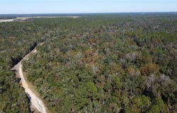 NE CHERVIL Drive, LEE, FL 32059