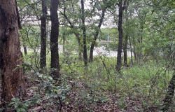 153 Post Oak Cove, Sunset, TX 76270