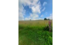 1557 Cave Springs Road, Tazewell, TN 37879