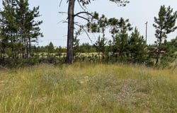 361 E M35 Highway, Gwinn, MI 49841