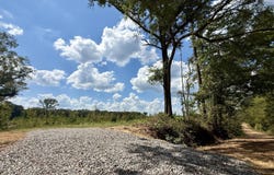 Cooper Road, Camden, MS 39045