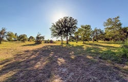 TBD L5 CR 1250, Whitney, TX 76692