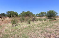 103 County Road 2638, Devine, TX 78016