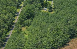 Bruce Circle, Dublin, GA 31021