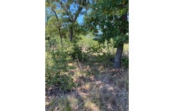 Koali Dr lot: 1123, Bastrop, TX 78602