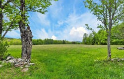 Saddada Road lot: 0, Whitingham, VT 05361