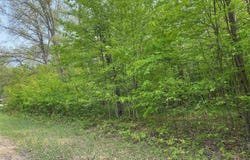 FRIBOURG DRIVE, REED CITY, MI 49677