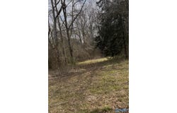 Marion, AL 36756