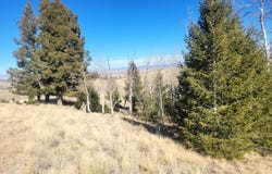 8802 Ranch Road, Hartsel, CO 80449