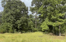 150 TERRELL LANE, Calhoun, LA 71225