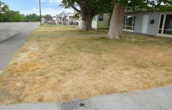 309 E 2nd Ave, Kennewick, WA 99336