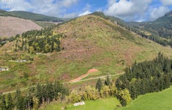 78693 Dowens Rd, CottageGrove, OR 97424