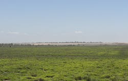 County Road 3, TX 79061