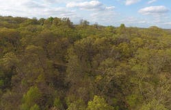 1 Holt 340, Forbes, MO 64473