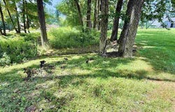Joy Drive, Sullivan, IN 47882