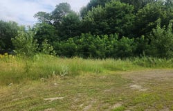 Meadow Street, Chicopee, MA 01013