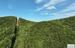 Old Mill Rd, Patrick Springs, VA 24133