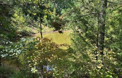 NC 3875, Hasty, AR 72640