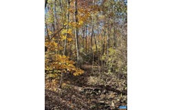 20 CHIPPEWA LN, PALMYRA, VA 22963