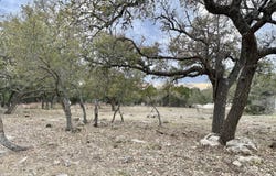 104 C Chisholm, Blanco, TX 78606