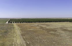 10700 Clovis Road, Shallowater, TX 79363