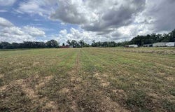 Watermill Rd lot: 4, Jay, FL 32565