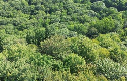 154 Raccoon Road, Beech Mountain, NC 28604