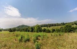 Sunset Dr, Amherst, VA 24521
