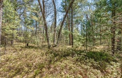 Bradby Blvd, Baldwin, MI 49304