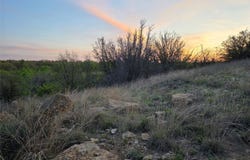 Co Rd 303, Gorman, TX 76454