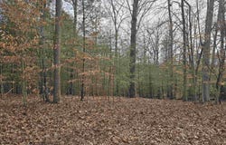 5 RUNAWAY LN, STANARDSVILLE, VA 22973