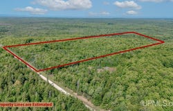 673 & 685 Yalmer Road, Skandia, MI 49885