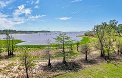 195 CR 4804 E, Broaddus, TX 75929