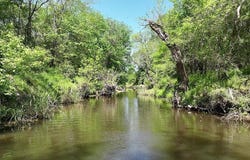 0 County Road 119, Ledbetter, TX 78946