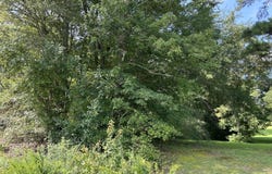 Hardee Road, Fuquay Varina, NC 27526