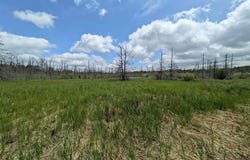 M-48, Pickford, MI 49774