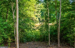 6078 HAMLIN Circle, KING GEORGE, VA 22485