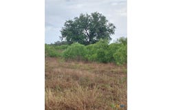 1060 Fox Lane, Lockhart, TX 78644