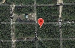 301 DEEDA Street, FLORAHOME, FL 32140