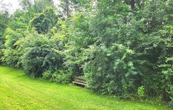 E Herrick Rd, Clare, MI 48617