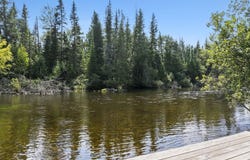 3182 TWIN PINE ROAD, GRAYLING, MI 49738
