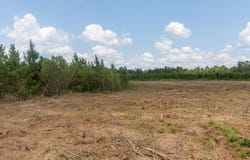 PID # 17166 Old Hwy 59, Lufkin, TX 75901
