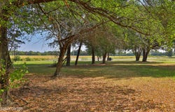 760 State Line Road, South Fulton, TN 38257
