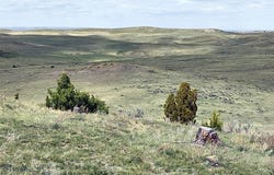 Davis Road, Miles City, MT 59301