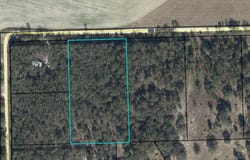 NE 811th St, Old Town, FL 32680