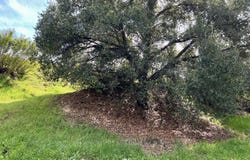 190 Sycamore Lane, Bradbury, CA 91008