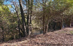 S Loomis Road, Mt Pleasant, MI 48858