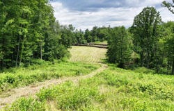 Titus Road, Freeport, OH 43973