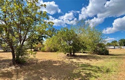 169 Navajo, Quitman, TX 75783