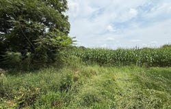 VL Cobb Road, Delton, MI 49046